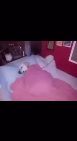 #yyyyyyyyyyyyyyyyyy 