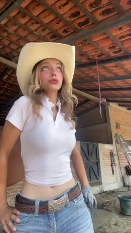 ✅