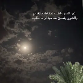 #حدثوني_عن_شعور_الفراق؟ .(!🖤.                 #لافي📸 #npr1🌚 