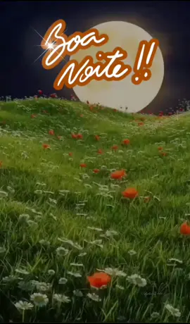 Boa noite abençoada a todos ❤️