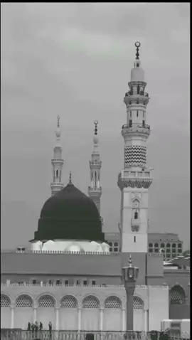 أستشهاد النبي محمد.(ص).💔😣 #النبي_محمد_صل_الله_عليه_و_آله_وسلم  #اهل_البيت_عليهم_سلام #لايكات #متابعين #اكسبلوررررررر 