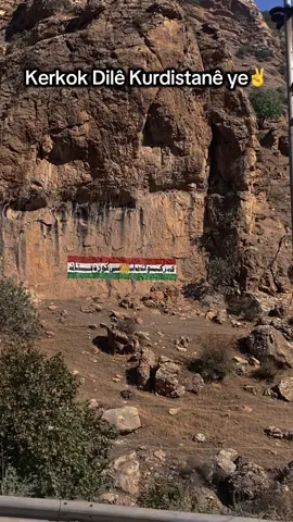 Kerkok Dilê Kurdistanê Ye✌️#kurdistan #başur #keşfet #karkuk 