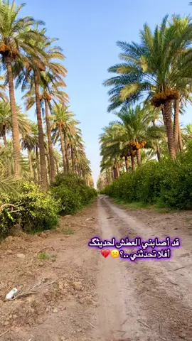 قد أصابني العطش لحديثگ أفلا تحدثني ..؟☹️💔