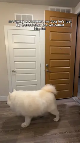 😩 #dogsoftiktok #relateable #memes #funny 