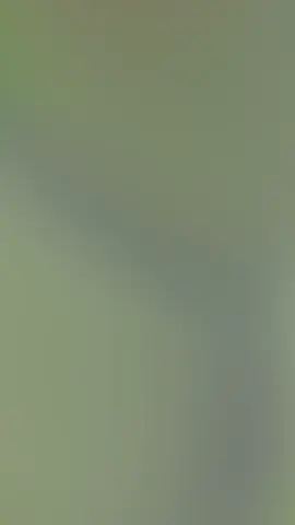 @🦚𝐌𝐀𝐑𝐃𝐄𝐄𝟒𝟏𝟎🦚 