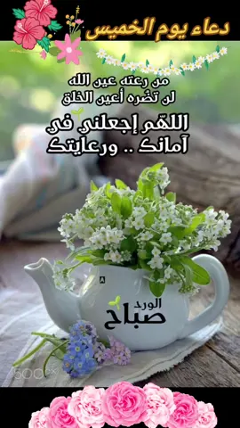 #دعاء#الخميس#🤲🤲🕋🕋🤲🤲 #صباحكم_معطر_بذكر_الله💚🌹🌿🌷😍🌸🙏 #صباحكم_أحلى_صباح🌹🌹 