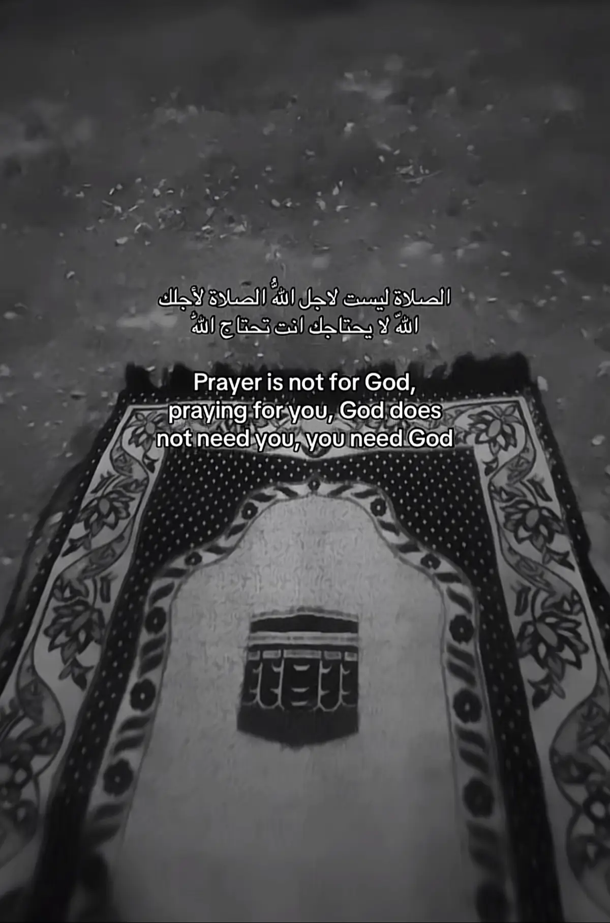 #المام_العباس_عليه_السلام  #المام_الحسين_عليه_السلام  #اهل_البيت_عليهم_السلام  #شيعت_مولانا_علي_الكرار  #اعادة_النشر🔃 