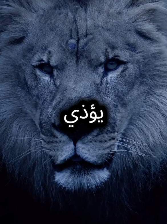 من يمتلك قلبا طيبا سيبقى وحيدا دائما  #اقتباسات_عبارات_خواطر #واحد #خواطر #المواقف #عبارات 
