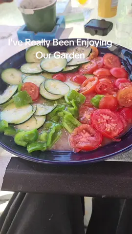 I've really been enjoying picking some fresh Tomatoes, Bell Peppers and Cucumbers from the garden and making myself a little snack every afternoon.  I like the Olive Garden Italian dressing over it. #freshfromthegarden #treatyourself #cherishlife #loveme #summermashup 