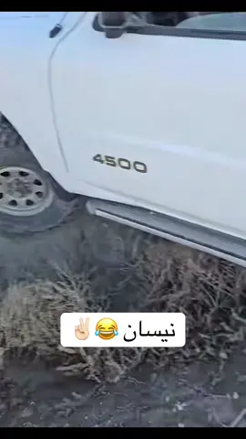 #صقور_العراق🔥🇮🇶🦅 #صقاقير_الكويت🇰🇼 #صقاقير_الخليج #مقناص_الطيور 