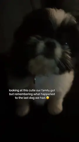 i feel so bad #dog #familyproblems #cutie #foryоu #fyp 