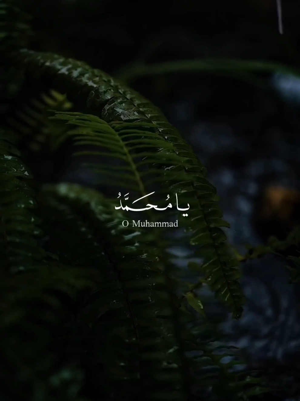 يامحمد ياعلي •           #دعاء #creatorsearchinsights #اللهم_صل_على_محمد_وآل_محمد #ياعلي #يامحمد 
