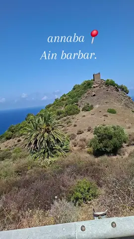 #fypシ゚ #annaba #algerie🇩🇿 #شعب_الصيني_ماله_حل😂😂 #تونس_المغرب_الجزائر 