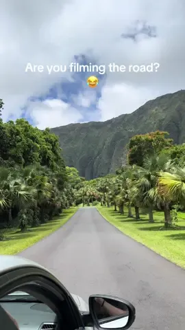 But Hawaii is Home ❤️🌸  #hawaii #hawaiitiktok #oahu #hawaiilife #Summer #imsummering #summervibes #foryoupage #fypシ #fypシ゚viral #trending #aloha #foryou 