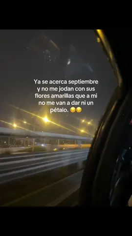 Ohhh no 😞 #septiembre #floresamarillas #contenido #tiktok #viraltiktok 