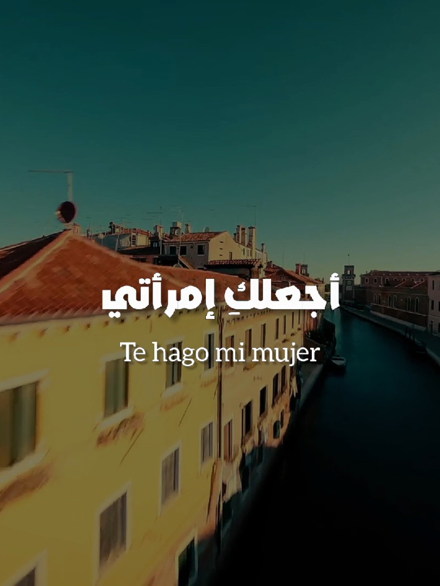Gata Only (Remix) - مترجمة #creatorsearchinsights #ترجمة #fypyou #اغاني_مترجمه #lyrics_songs 