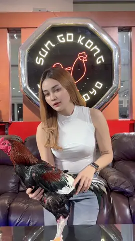 si RR kepak sayap mentang