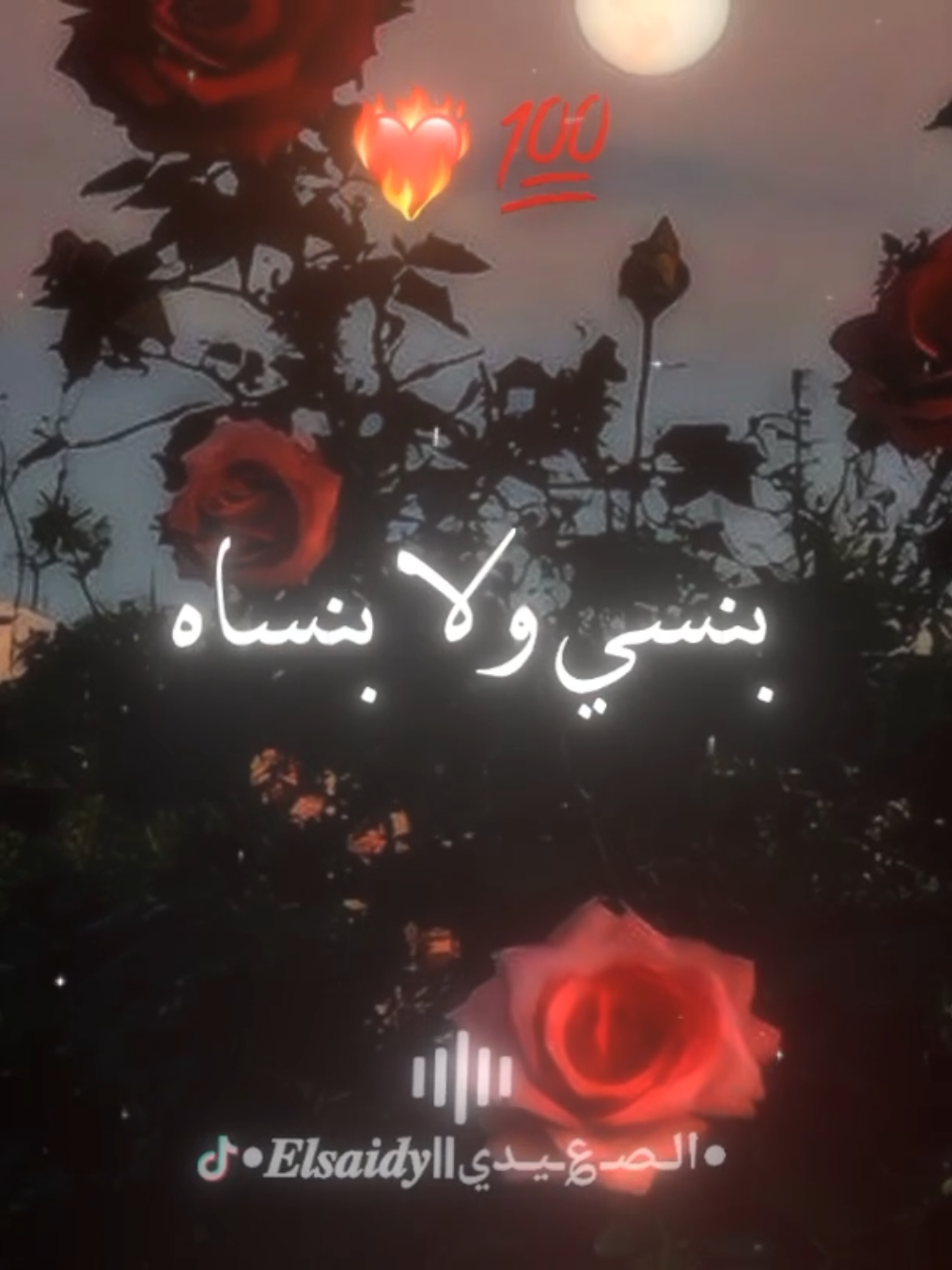 #لو_اقدر_انسي_حبك_كنت_نسيتو_من_زمان #elsaidy_831 #fypシ゚ #صعيدي #حالات_واتس 