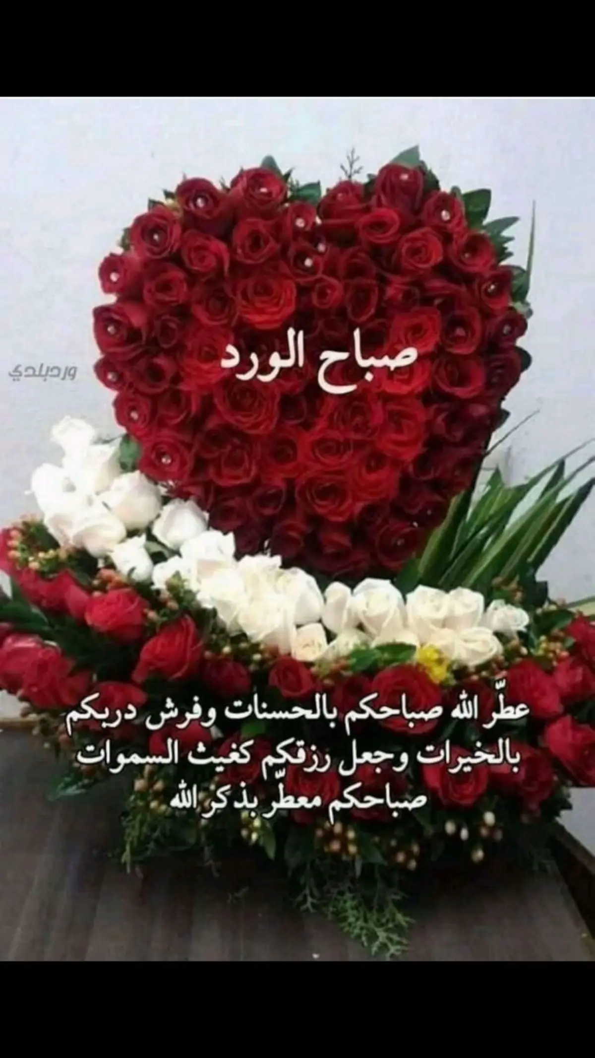 #في هذا اليوم 