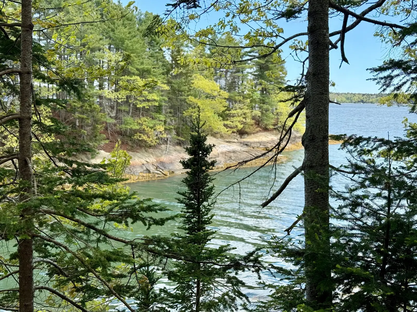 Wolfe’s Neck State Park! 💎  #maine #Summer #nature #eastcoast #water 