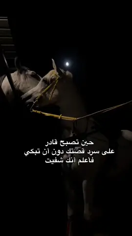 #في هذا اليوم 