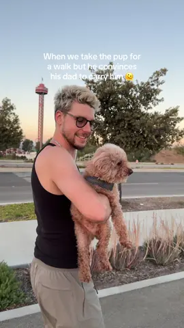 He knows which parent he can finess 🐶#creatorsearchinsights  #motivation, #inspiration, #positivity, #humortiktok 