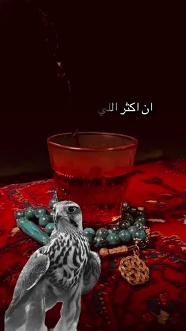 #أكسبلور_شعر_حكم_خواطر 