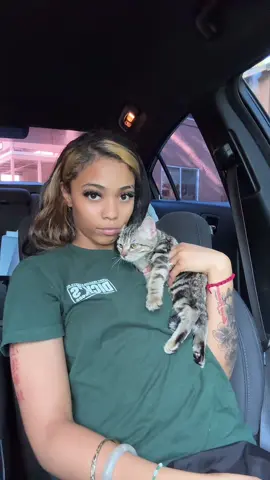 My car #🐈 