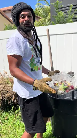 (🌱Composting) Why we throw  our fruit & veggie scraps in the compost instead of throwing them away… #foryoupage 