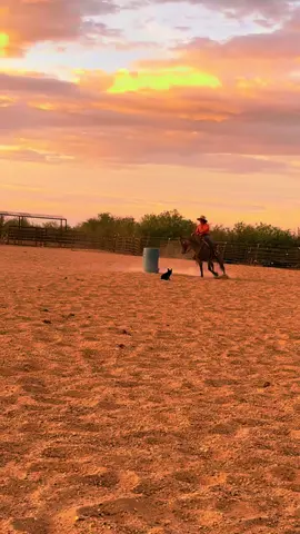 When my bestie is in town @B. Nielsen  and she gets some videos! Day one of this 4 year old mare. Let’s see where I get in a month of roping and barrels ❤️