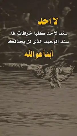 #عبارات_كاسبار_المنصه_الاولى #تصميم_فيديوهات🎶🎤🎬 #اكسبلورexplore 