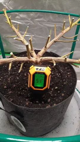 @IRTOV Soil Master  #Growtok  #stemking  #cherokeegarden 