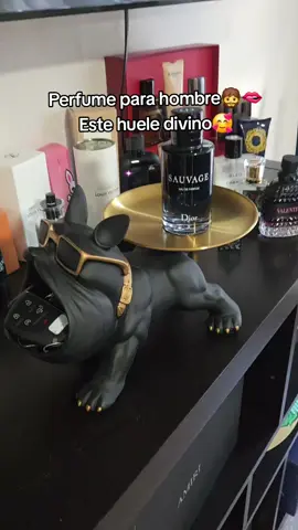 #perfumetiktok #perfumeparahombre #♥️ #tiene un olor esquisito#perfumemasculino 