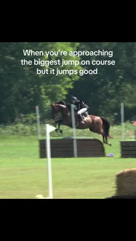#relatable #funny #horseriding #horse #foryoupage 