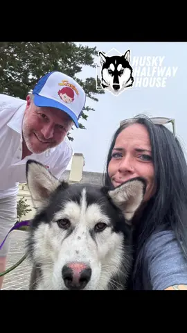 Huge news! Huge! Check out the details! We are so excited to have all the amazing support we do! HUGE thank you to Zack Brown and his wife Tracy. 🩵 WE ARE GETTING OUR DOG PARK! 💦  thank you all that support us. Please 🙏🏻 like, follow, share, and subscribe. We are so lucky to have such amazing supporters! 🥰#huskyhalfwayhouse #tilltheyallhavehomes #supportH3 #huskiesoftiktok #dogwaterpark 