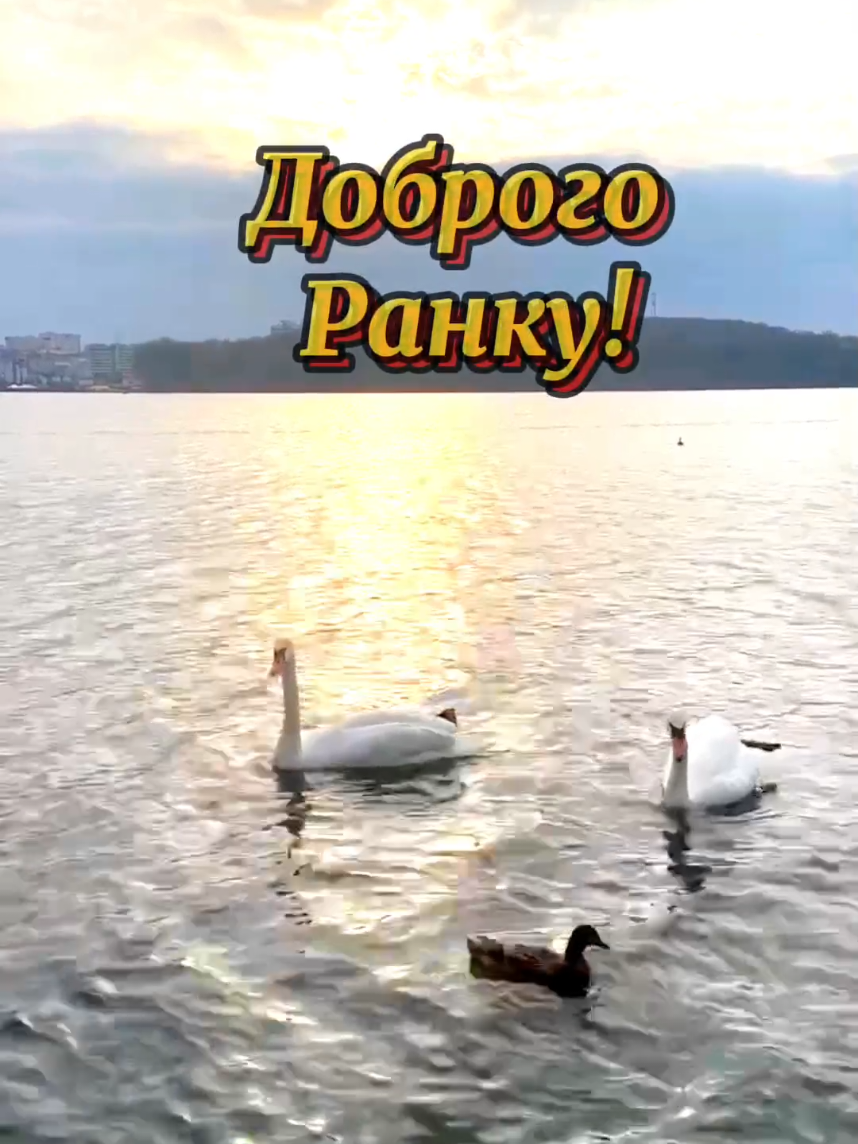#доброгоранку #добрийранок #ранок #длятебе #длявас #рекомендації #українськийтікток🇺🇦 #goodmorning 