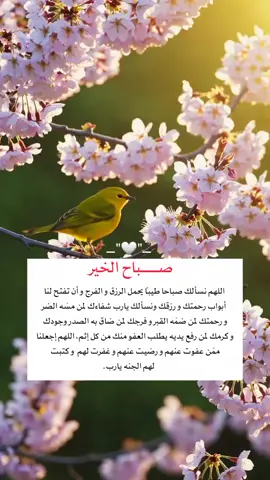 ‏اللهم نسألك صباحا طيباً  ‏يحمل الرزق والفرج وأن تفتح لنا  أبواب رحمتك ورزقك#foryou #foryoupage #frypgシ 