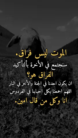 #tiktok #اكسبلوررررررر #فخامه_king👑 #تصميم_الحكومه999انسخه_الصليه_وليس_المستعاره_حكومه_لديكم_لخوف_عليكم 