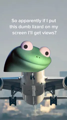 #Meme #tiktok #aviation #planes #funny 