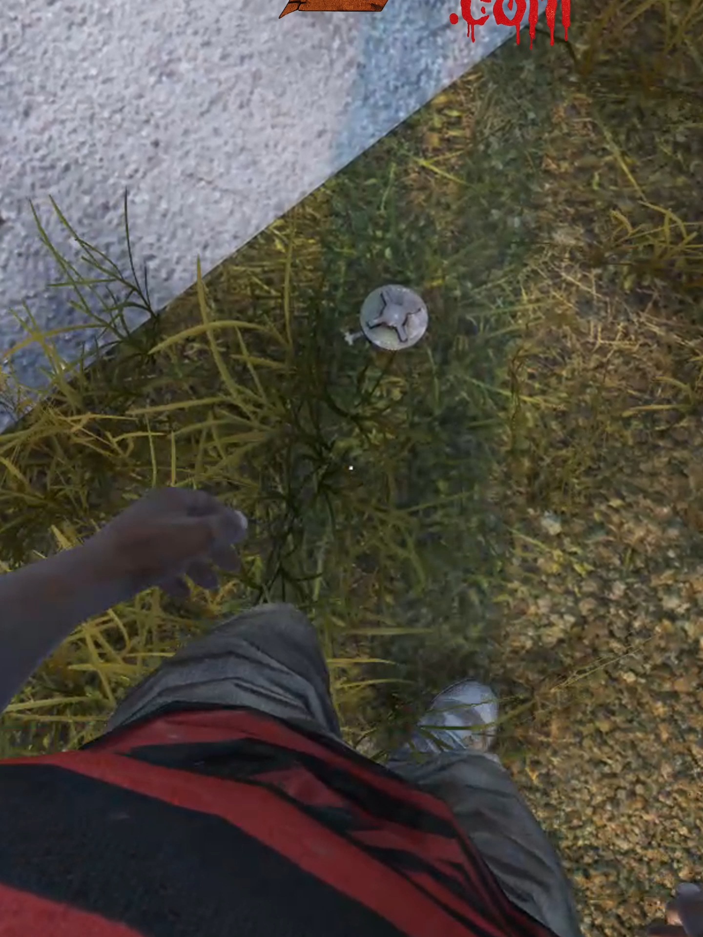 Short - Mina e Armadilha#dayz #DayzBrasil #DayzBr