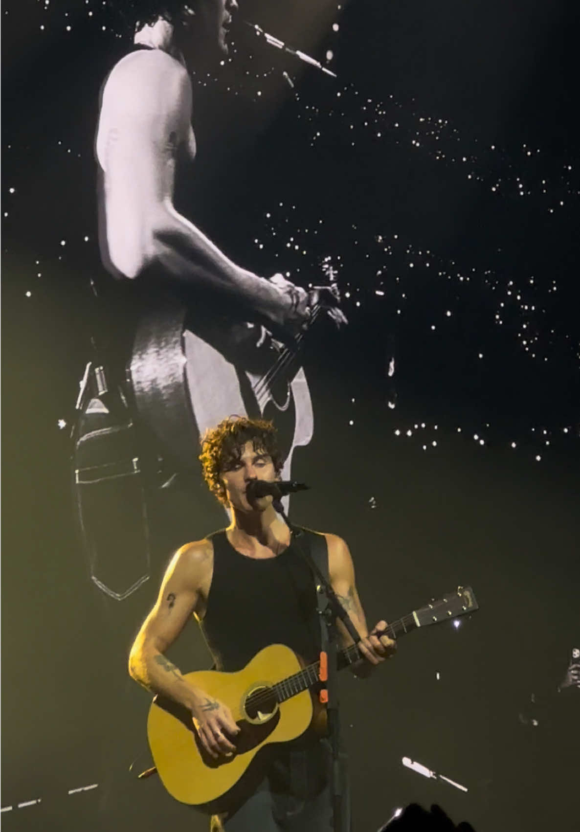 i finally saw shawn live. my childhood dream came true. #fyp #shawnmendes #concerts 