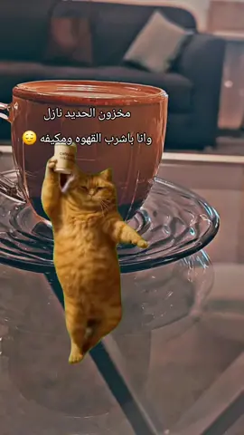 #Meme #MemeCut #CapCut 
