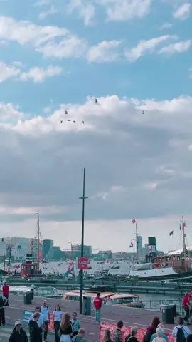 Sail 2025 #amsterdam #sail2025  #fy #fighterjet #airforces 