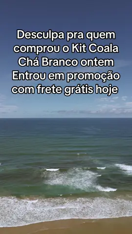 #coala #tiktokmefezcomprar #dicas_utilidades #casacheirosa #limpezadecasa 