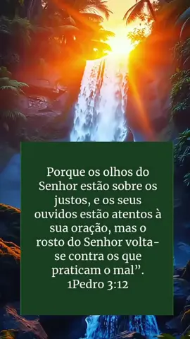 Passando para desejar uma excelente noite, repleta. De saúde paz bom descanso.#verciculosbiblicos #motivacional #cristaosnotiktok #evangelismo 