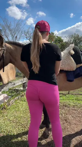 #agrogirl #cowgirl #vaca #cavalo #fazenda 