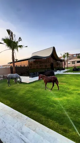 #السعودية #الرياض #العيينه #trend 