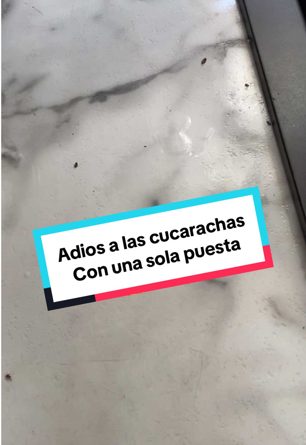 Por qué no lo compré antes 😳🫠🥲 #foryoupage #fyp #paratii #cucarachas #viral 