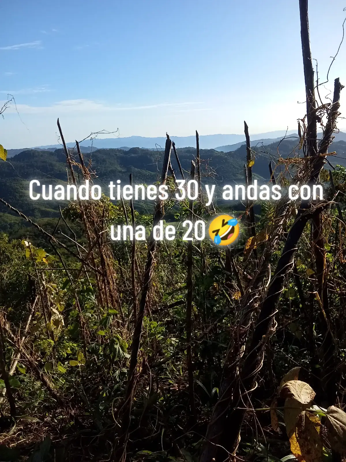 #CapCut #MemeCut #Meme #humor 