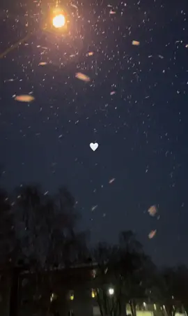 #wintervibes #rek #Love #music 